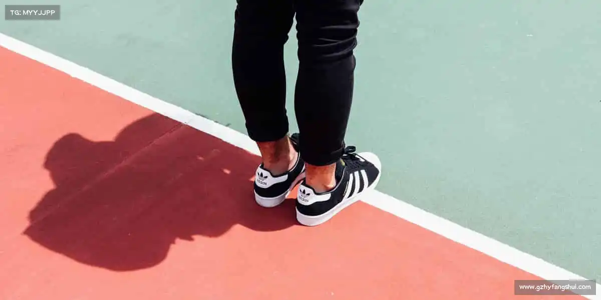 加拿大预测——🎮巅峰电竞,荣耀属于勇者!